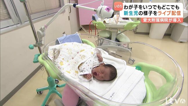 「新生児期が一番かわいい」生まれたばかりの新生児をライブ配信…会えないパパもメロメロ!? 愛媛|TBS NEWS DIG