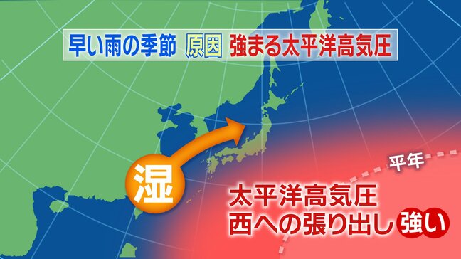 早い雨の季節到来　原因は「強まる太平洋高気圧」　最新の１か月予報を解説　|TBS NEWS DIG