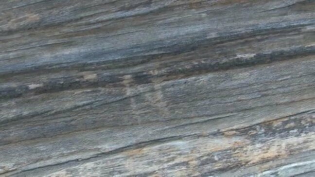 「到底許されない」宇和島城に「N」の刻み文字 現存天守の被害に市長が遺憾の意|TBS NEWS DIG