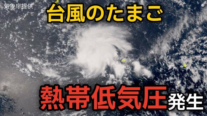 【台風情報】台風のたまご「熱帯低気圧」が発生 こんや（6日）には「台風」へ発達する見込み…今後の進路、日本への影響は？雨風シミュレーションで詳しく見る【気象庁 6日正午更新】|TBS NEWS DIG