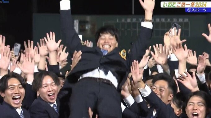 【いわてこの一年】⑤2024年の岩手のスポーツを振り返る|TBS NEWS DIG