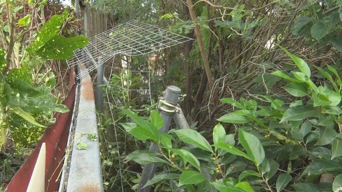 飲食店の駐車場の柵を突き破り5メートル下へ転落　車に乗っていた高齢者4人が重傷　沖縄市の県道22号線　|　沖縄のニュース｜RBC 琉球放送