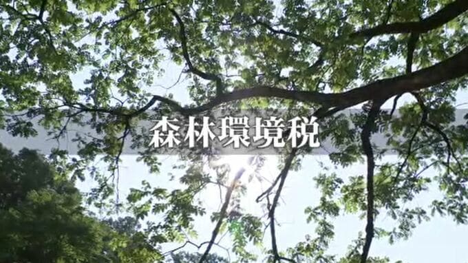 なぜ? 東京23区にも配分される「森林環境税」 約494億円の税金がすぐに活用されず積立に… 37府県では独自税導入で“二重負担”も　|　石川県のニュース｜MRO北陸放送