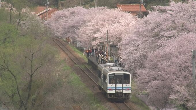 "線路の上を歩ける"イベント開催へ　旧JR三江線の廃止6年記念でお花見&ウォーキングイベント　「トロッコ列車」の運行も予定　|　BSSニュース | BSS山陰放送
