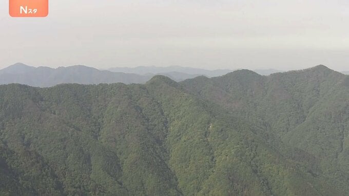 【速報】東京と埼玉にまたがる仙元峠付近で上半身のない遺体　クマに襲われた可能性　周辺には大型動物の足跡　警視庁が身元確認を進める|TBS NEWS DIG