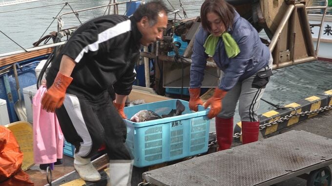 お待たせ！初日は少なめだけど…冬の味覚“タラ”漁 6日遅れで初水揚げ 　|　石川県のニュース｜MRO北陸放送