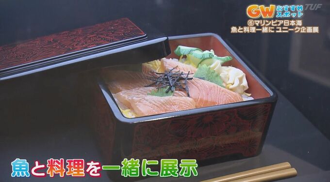 「GWおすすめ水族館」魚と魚料理を見比べながら巡る！？|TBS NEWS DIG