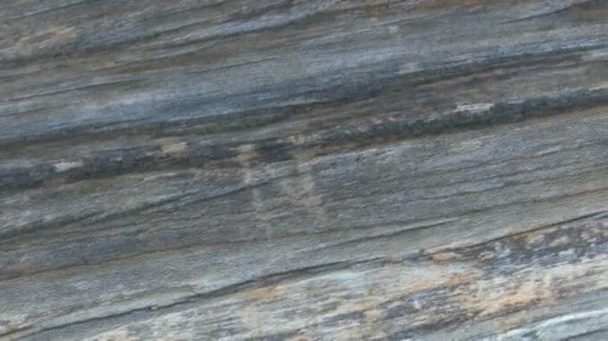 「到底許されない」宇和島城に「N」の刻み文字　現存天守の被害に市長が遺憾の意|TBS NEWS DIG