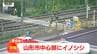 カメラが捉えた線路近くを逃げるイノシシ　捕獲試みる市や警察　山形市の中心部で目撃　|　山形のニュース│TUYテレビユー山形