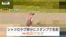 【山形】発見遺体の性別は”男”...6歳男児行方不明　離島で見つかった遺体は行方不明児童と似た服装　DNA鑑定で身元特定急ぐ（酒田市）　|　山形のニュース│TUYテレビユー山形