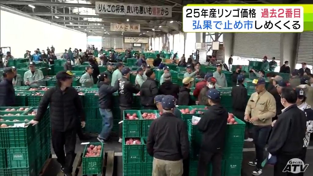 りんご 12/26取り置き Amazon.co.jp: 貝印 KAI りんご リンゴ 芯取り くり抜き 便利 食洗機