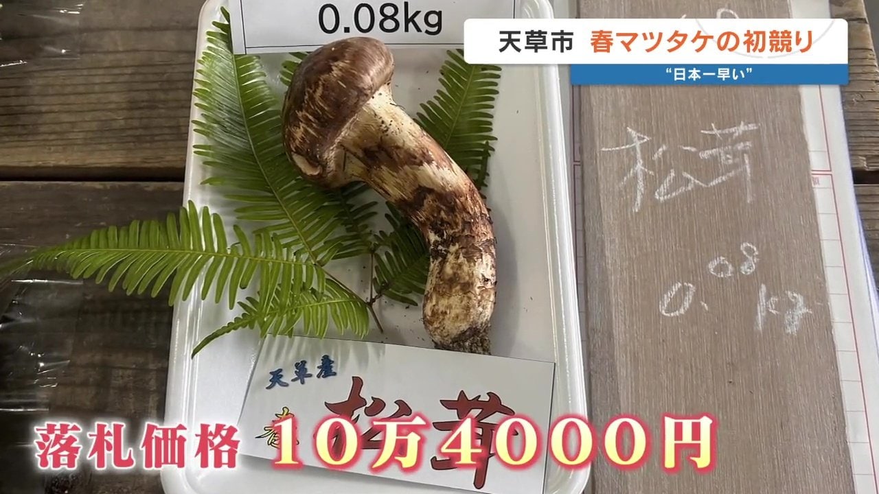 今年も高橋英樹さんが競り落とす 「日本一早い」春マツタケ1本10万4000