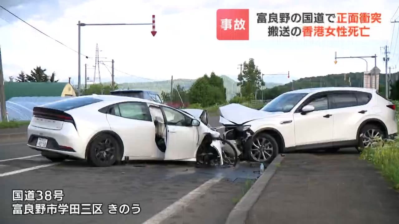 最後の1頭　台湾産　ゲンゴロウ　37mm 符節欠損 富良野の国道で、香港からの家族が乗ったレンタカーと乗用車が正面衝突