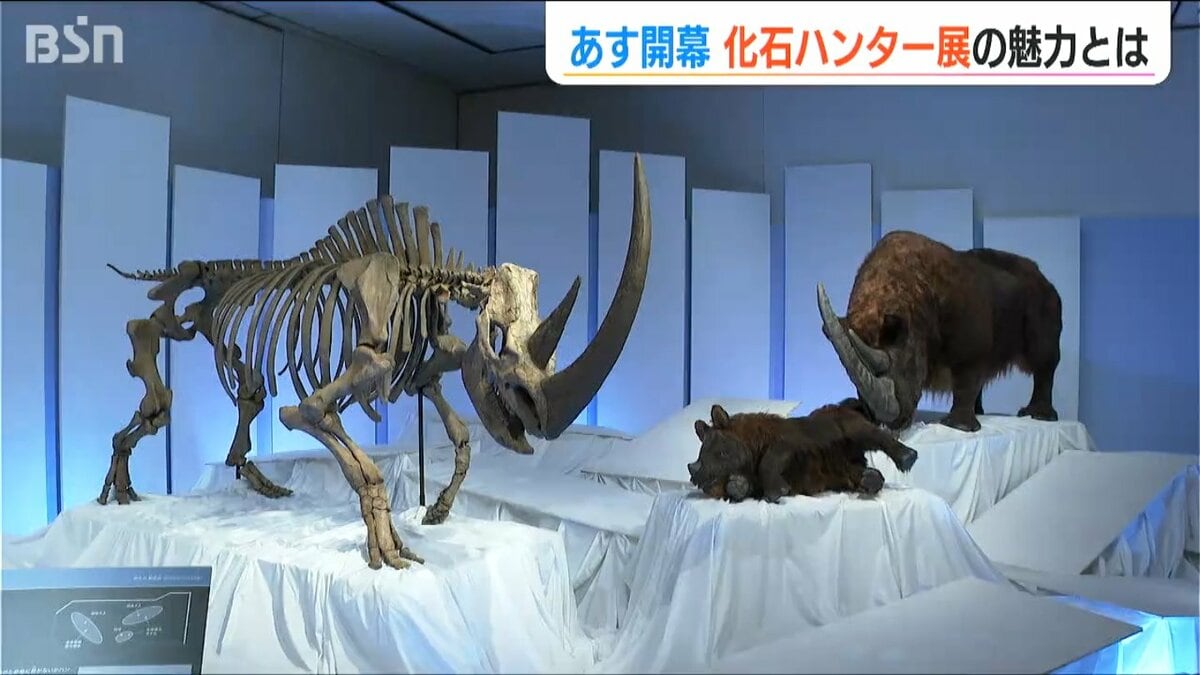 ハンター展 img_4627b433963162502a21f810d6
