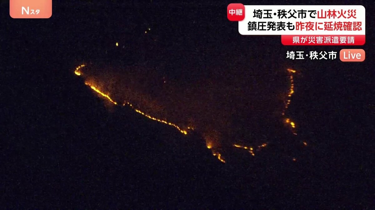 埼玉・秩父市の山林火災 きのう（5日）「鎮圧」発表も再び延焼 県が