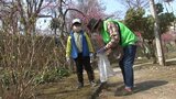 盛岡清掃奉仕会が今年度の活動スタート 桜開花の城跡をきれいに|TBS NEWS DIG