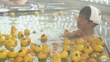 心も身体もリフレッシュできます 冬至はゆず湯でほっかほか|TBS NEWS DIG