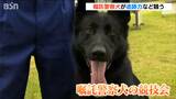 におい頼りに道筋たどれ 嘱託警察犬の競技会 新潟市 | 新潟のニュース・天気|BSN NEWS|BSN新潟放送