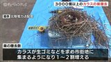 電柱のカラスの巣3200個を撤去「見かけたら写真投稿」で協力呼びかけ　北陸電力送配電　|　富山のニュース｜天気・防災｜チューリップテレビ