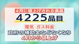ビールなど4000品目超える食品や電気ガスも値上げ 一方で中野市が小中学校の給食費を無償に【新年度で何変わる】県内高速道路を2日間5600円で乗り放題のお得なプランも登場|TBS NEWS DIG