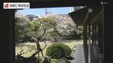 料亭の庭園を彩る「カルルス桜」　地域住民の熱意で伐採免れた水辺の桜並木も【長崎のサクラ】|TBS NEWS DIG