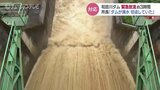 「ダムが満水 切迫していた」未明の緊急放流3時間 県営「和田川ダム」富山・砺波市|TBS NEWS DIG