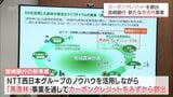宮崎銀行が新たな「再造林」事業を発表 "カーボンクレジット"を自ら創出 地方銀行で全国初 | MRTニュース | MRT宮崎放送