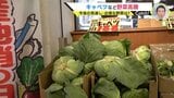 広島市青果組合理事長に聞いてみた「高騰するキャベツの今後は？　お得な野菜は？」　|　RCC NEWS | 広島ニュース | RCC中国放送