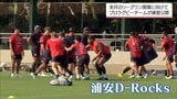 来年2月に都城市で公式戦 ラグビーリーグワン「浦安D‐Rocks」が宮崎市で合宿|TBS NEWS DIG