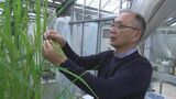秋の褒章 岡山大学の馬教授が紫綬褒章「食の安全につながる成果」高松市の染物職人、大川原さんが黄綬褒章「技術を伝承」|TBS NEWS DIG