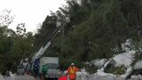 20日までに発生した停電は解消へ 新潟県内はこの後大雪となる見込み | 新潟のニュース・天気|BSN NEWS|BSN新潟放送