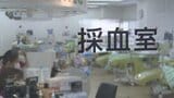あすは世界献血デー 協力者に特性タオル贈る 今月は協力者不足で400mlの献血があと400人以上必要 山梨県赤十字血液センター|TBS NEWS DIG