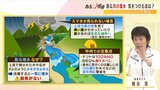 【解説】キャンプ場で「スマホが見られない」どうやって天気の危険を察知？『黒い雲』『雷』見えたら安全な場所へ... 川の中州でテントは「１００%ＮＧ」バーベキューは「避けて」山岳ガイドが解説|TBS NEWS DIG