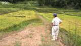 「いまさら降っても手遅れの田んぼも…逆に地滑りが怖い」6日は“警報級の大雨”の恐れ 新潟県|TBS NEWS DIG
