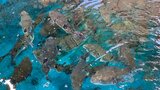 「ふぐ供養祭」豊漁願いトラフグ放流 フグ漁8月20日解禁 大分 | 大分のニュース|OBS NEWS|大分放送