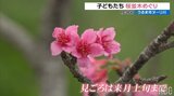 「100万本咲いてほしい」子どもたちが満開の桜並木を散策 うるま市のヌーリ川|TBS NEWS DIG