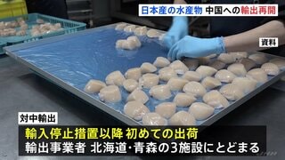 「冷凍ホタテ」中国への輸出再開　輸入停止措置以降初めて　鈴木農水大臣「冷凍ホタテ約6トン、これを11月5日に発送」| TBS CROSS DIG with Bloomberg