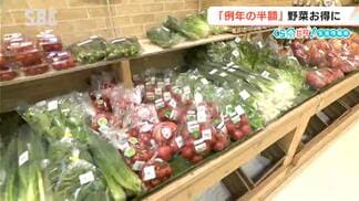 キャベツは例年の半額!?「春野菜」の価格動向は…【くらピタ！】春の暖かさが影響？アスパラガスの出荷もスタート！　|　SBC NEWS | 長野のニュース | SBC信越放送