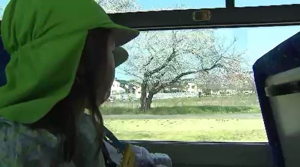 バスに乗ってお花見　上田バスが園児36人を招いて遊覧　バス専用の洗車機も乗ったまま体験　動く桜並木と車内から見る大型ブラシに大喜び　|　SBC NEWS | 長野のニュース | SBC信越放送