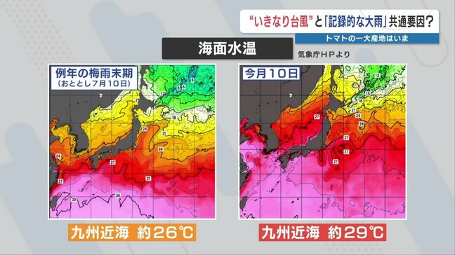 「梅雨末期よりさらに危険」 台風12号も記録的大雨も〝高い海面水温〟影響か|TBS NEWS DIG