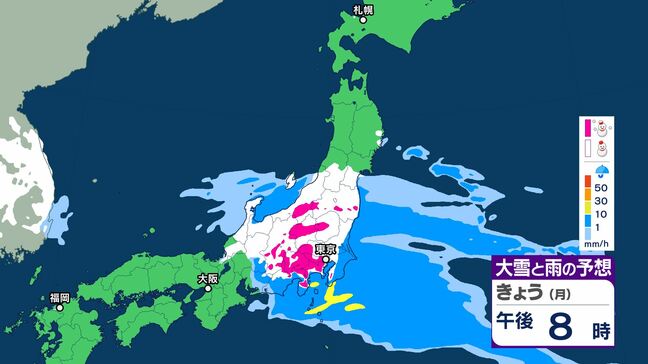 なぜ関東で大雪になる？　ポイントは「南岸低気圧の進むルートと風の入り方」　東京23区にも大雪警報が出る可能性|TBS NEWS DIG