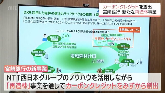 宮崎銀行が新たな「再造林」事業を発表 "カーボンクレジット"を自ら創出 地方銀行で全国初|TBS NEWS DIG