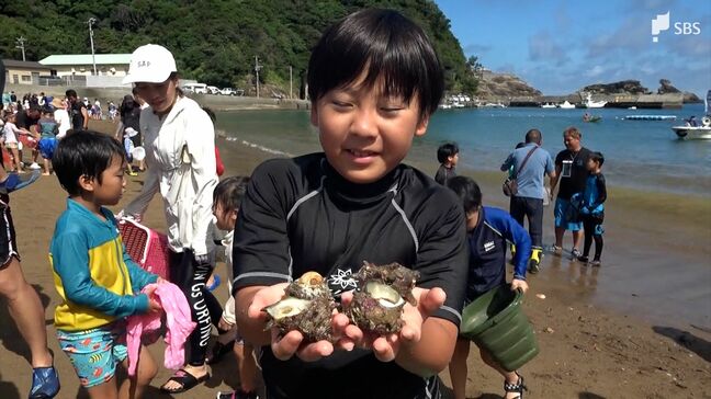 拾ったら無料! 伊豆の海岸で『サザエ狩り』3000個を争奪...海開き前に海水浴シーズンをPR=静岡・松崎町|TBS NEWS DIG