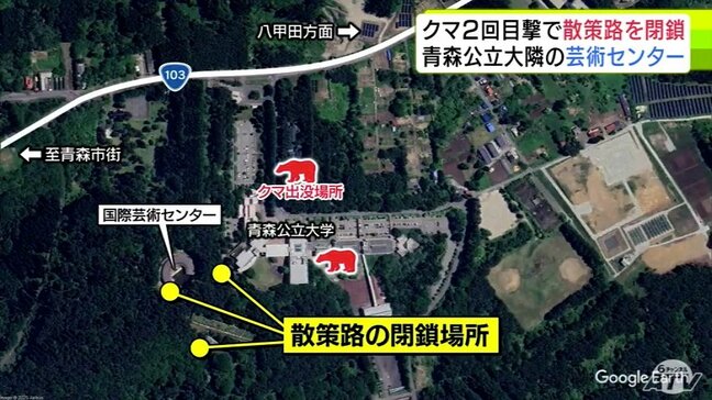 1週間に2回　大学敷地内で『クマ目撃』の青森公立大学が対策強化　大学と隣接する「国際芸術センター青森」の散策路3か所を閉鎖　安全が確認されるまで|TBS NEWS DIG