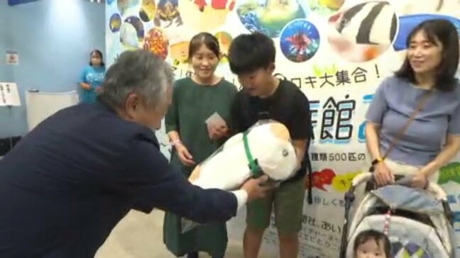 「滅多にないことなので、とてもうれしいです」水族館の来場者数2万5000人突破 いよてつ高島屋の『おもしろ不思議水族館』 愛媛県・松山市|TBS NEWS DIG