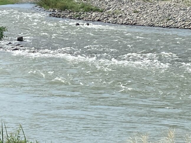 神通川で仰向けの74歳男性見つかる…搬送先の病院で死亡確認 アユ釣り中に流されたか 富山|TBS NEWS DIG