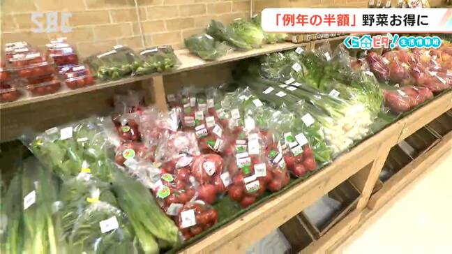 キャベツは例年の半額!?「春野菜」の価格動向は…【くらピタ!】春の暖かさが影響?アスパラガスの出荷もスタート!|TBS NEWS DIG