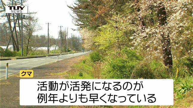 【動画】付近ではイチゴの苗が踏み荒らされる 酒田市でクマ1頭目撃 近くには小学校や中学校も(山形)|TBS NEWS DIG
