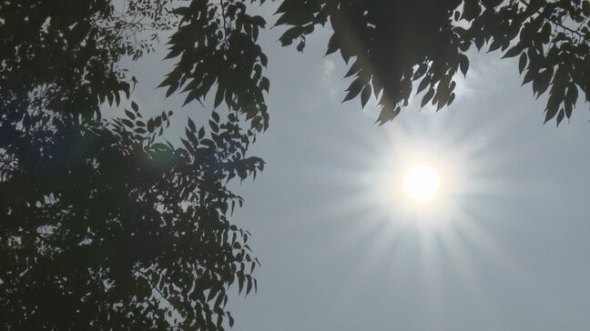 今年初の「熱中症警戒アラート」厳重警戒を　午後は“警報級の大雨”おそれも　福島|TBS NEWS DIG