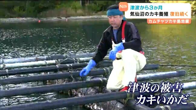 「全部折れている、ちぎれる寸前」気仙沼カキ養殖業者　カムチャツカ半島地震の津波から3か月　復旧に2年の見通し|TBS NEWS DIG